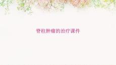 脊柱肿瘤的治疗课件