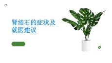 肾结石了解肾结石的症状及时就医