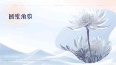 圆锥角膜