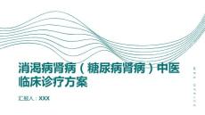 消渴病肾病（糖尿病肾病）中医临床诊疗方案