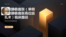 精索静脉曲张（单侧精索静脉曲张高位结扎术）临床路径