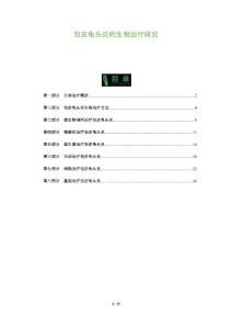 包皮龟头炎的生物治疗研究