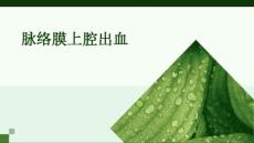 脉络膜上腔出血