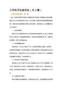 小學防汛自查報告