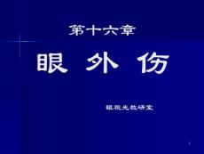 眼外伤ppt课件