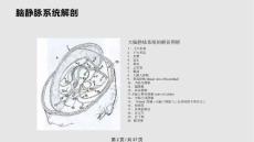 颅内静脉窦血栓形成.pptx