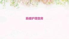 肠瘘护理查房