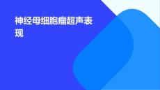 神经母细胞瘤超声表现优秀PPT