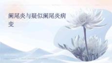 阑尾炎与疑似阑尾炎病变优秀PPT