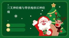 三叉神经痛与带状疱疹后神经痛PPT
