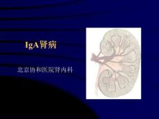 IgA肾病治疗