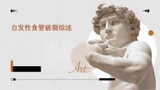 自发性食管破裂综述