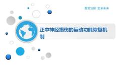 正中神经损伤的运动功能恢复机制