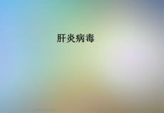肝炎病毒