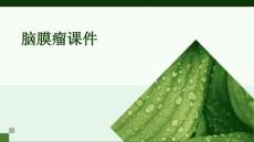 脑膜瘤课件