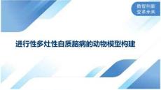 进行性多灶性白质脑病的动物模型构建