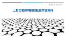 上睑功能障碍的睑板腺功能障碍