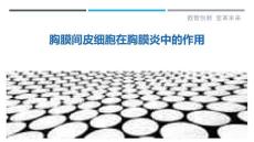 胸膜间皮细胞在胸膜炎中的作用