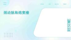 颈动脉海绵窦瘘