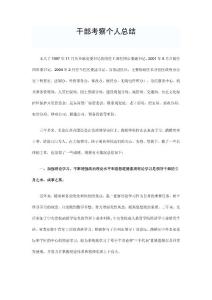 干部考察个人工作总结