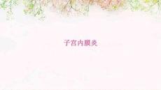 子宫内膜炎