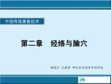 經絡與腧穴PPT課件