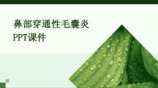 鼻部穿通性毛囊炎ppt课件
