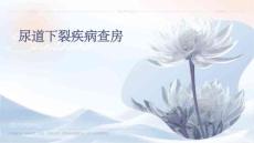 尿道下裂疾病查房