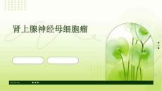肾上腺神经母细胞瘤