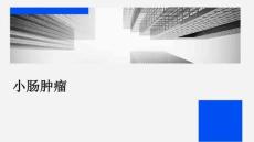 小肠肿瘤