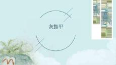 灰指甲