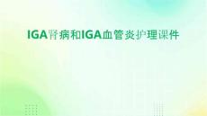 IgA肾病和IgA血管炎护理课件