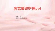 感觉障碍护理ppt