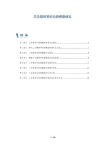 三尖瓣狭窄的动物模型研究