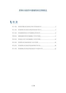 肝肿大组织中增殖性标志物表达