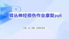 臂丛神经损伤作业康复ppt