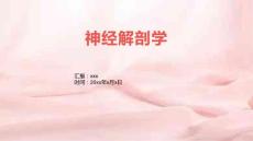 臂丛神经损伤及康复PPT