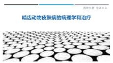 啮齿动物皮肤病的病理学和治疗
