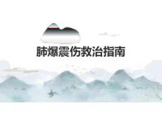 2024肺爆震伤救治指南PPT