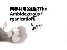 两手并用的组织The Ambidextrous rganization