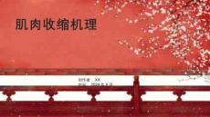 《肌肉收缩机理》课件