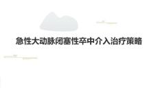 急性大动脉闭塞性卒中介入治疗策略2024课件