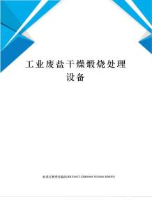工業廢鹽干燥煅燒處理設備