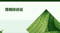 《肾病综合征》课件