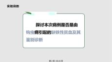 探讨钩虫病引起的低色素小细胞性贫血.pptx