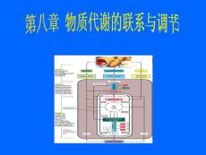 第八章 代谢的联系与调节1