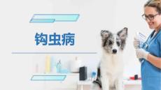 犬猫的寄生虫病(钩虫病)-宠物医生课件