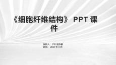 《细胞纤维结构》课件