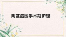 阴茎癌围手术期护理