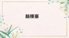 脑梗塞1